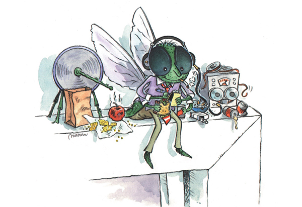 cartoon fly on the wall listening to what your clients are saying about you